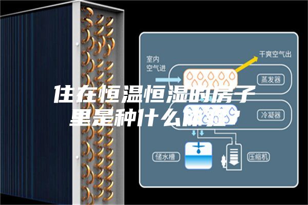 住在恒溫恒濕的房子里是種什么體驗(yàn)？