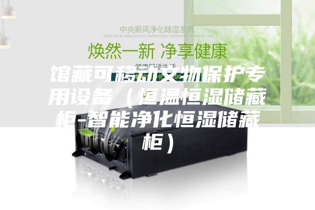 館藏可移動文物保護專用設(shè)備（恒溫恒濕儲藏柜-智能凈化恒濕儲藏柜）