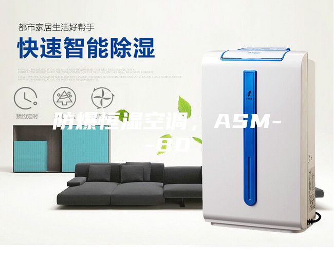 防爆恒濕空調(diào)，ASM--80