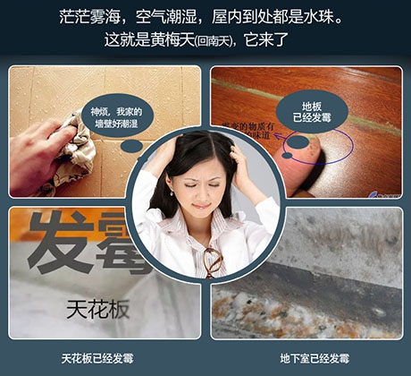 梅雨季將至，除濕機(jī)了解一下！