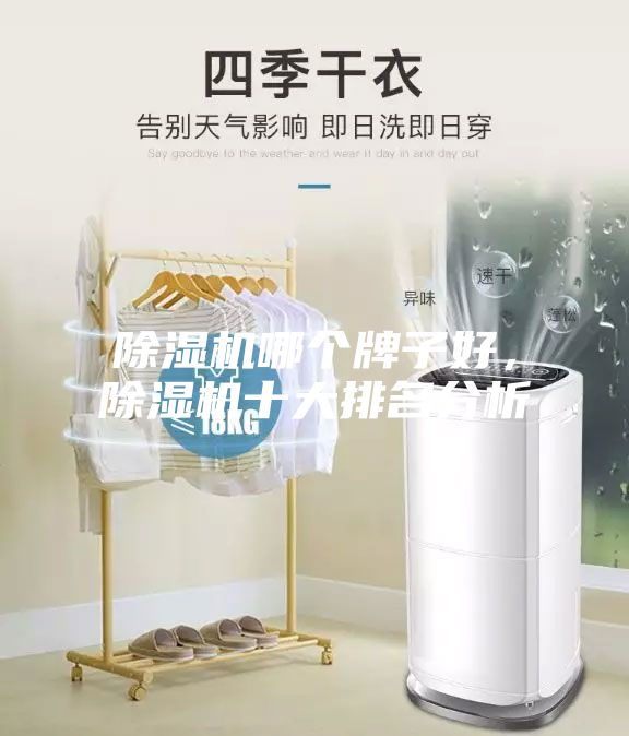 除濕機哪個牌子好，除濕機十大排名分析