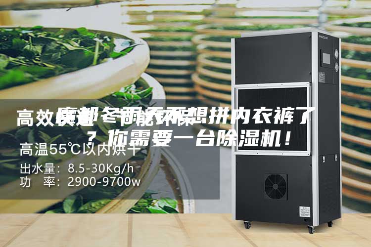 魔都冬雨天不想拼內(nèi)衣褲了？你需要一臺除濕機！