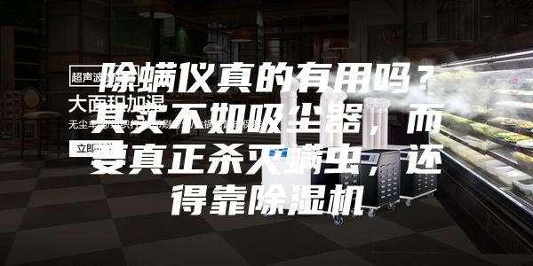 除螨儀真的有用嗎？其實(shí)不如吸塵器，而要真正殺滅螨蟲，還得靠除濕機(jī)