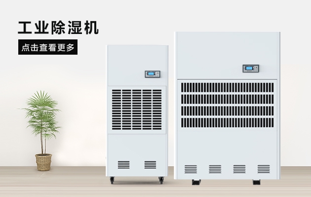 這間熱帶雨林辦公室，不潮濕不下雨還讓員工忘記了在工作