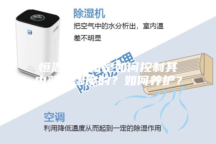 恒溫恒濕箱是如何控制其內(nèi)部溫濕度的？如何養(yǎng)護(hù)？