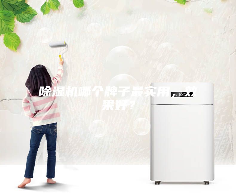除濕機(jī)哪個(gè)牌子最實(shí)用，效果好？