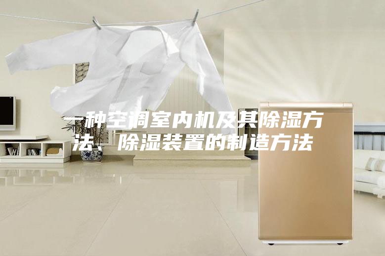 一種空調(diào)室內(nèi)機及其除濕方法、除濕裝置的制造方法