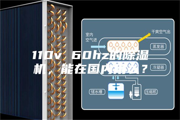 110v 60hz的除濕機，能在國內(nèi)用么？