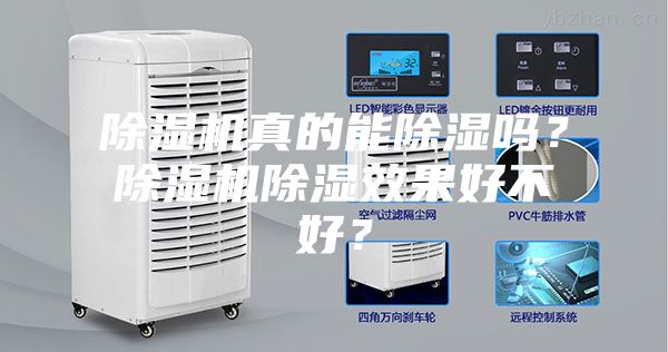 除濕機真的能除濕嗎？除濕機除濕效果好不好？