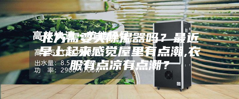 北方需要買除濕器嗎？最近早上起來(lái)感覺(jué)屋里有點(diǎn)潮,衣服有點(diǎn)涼有點(diǎn)潮？