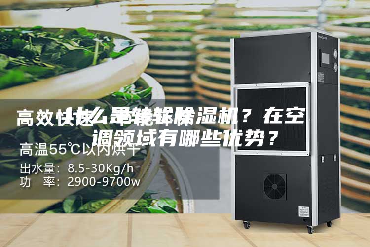 什么是轉(zhuǎn)輪除濕機(jī)？在空調(diào)領(lǐng)域有哪些優(yōu)勢？