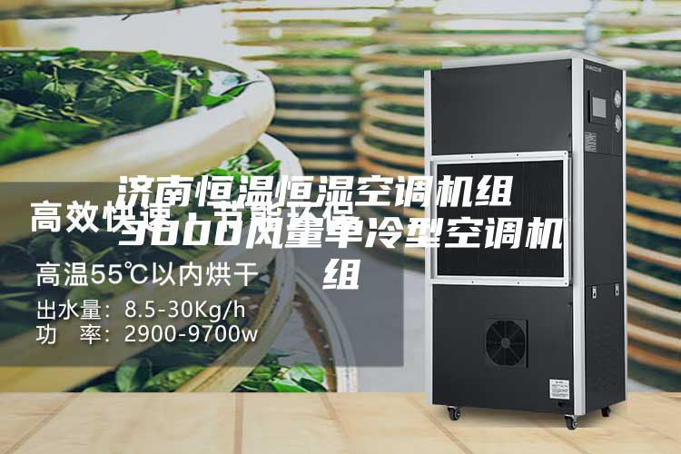 濟南恒溫恒濕空調(diào)機組  3000風量單冷型空調(diào)機組