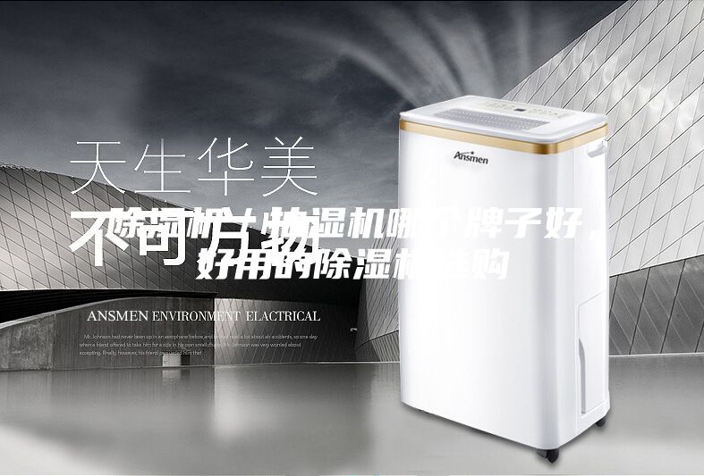 除濕機(jī)／抽濕機(jī)哪個(gè)牌子好，好用的除濕機(jī)選購