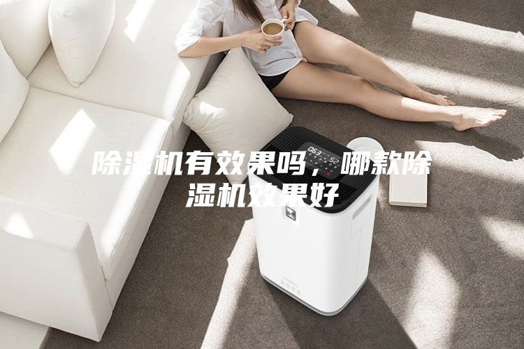 除濕機(jī)有效果嗎，哪款除濕機(jī)效果好