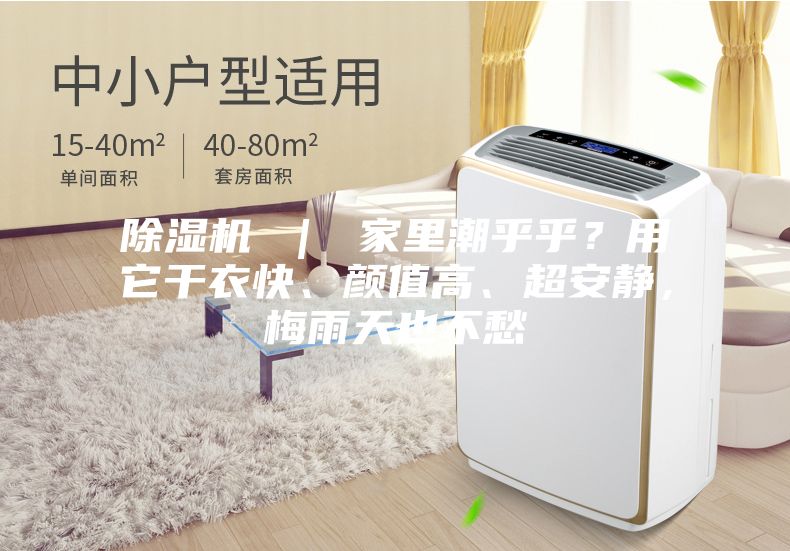 除濕機(jī) ｜ 家里潮乎乎？用它干衣快、顏值高、超安靜，梅雨天也不愁