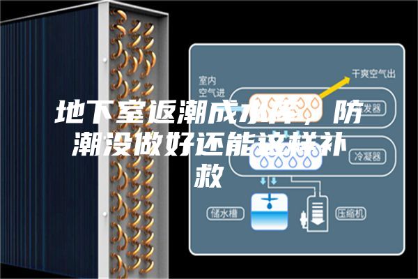 地下室返潮成水庫，防潮沒做好還能這樣補救