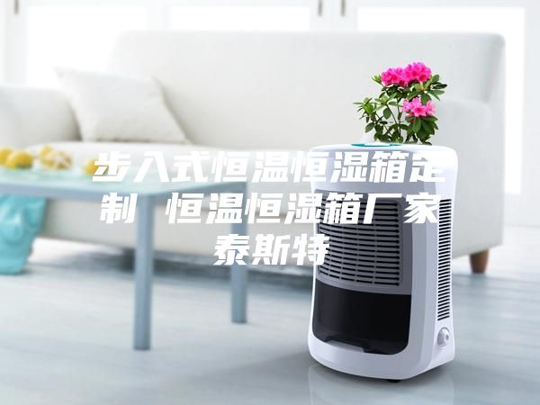 步入式恒溫恒濕箱定制 恒溫恒濕箱廠(chǎng)家泰斯特
