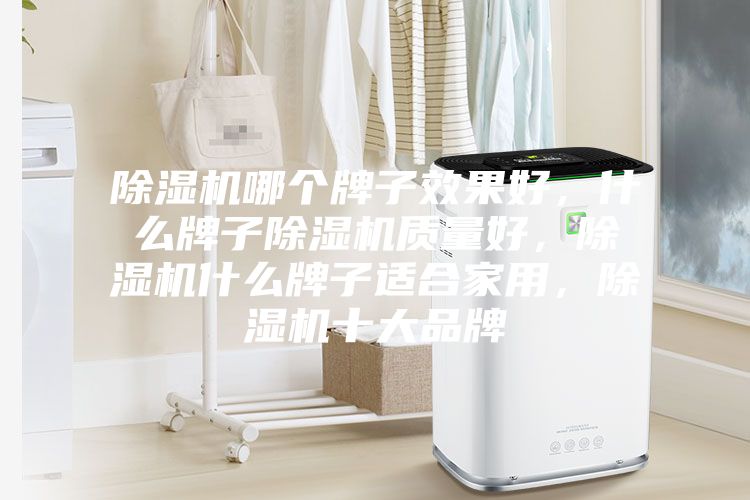 除濕機哪個牌子效果好，什么牌子除濕機質量好，除濕機什么牌子適合家用，除濕機十大品牌