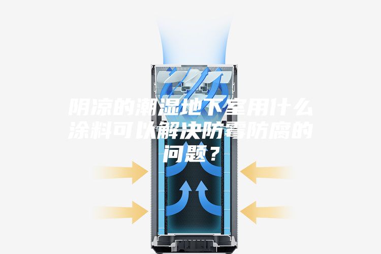 陰涼的潮濕地下室用什么涂料可以解決防霉防腐的問題？