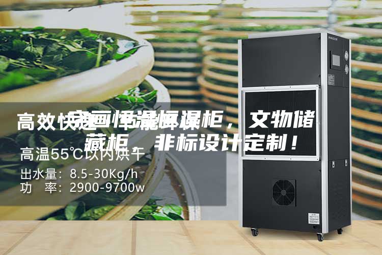 字畫恒溫恒濕柜，文物儲藏柜，非標設(shè)計定制！