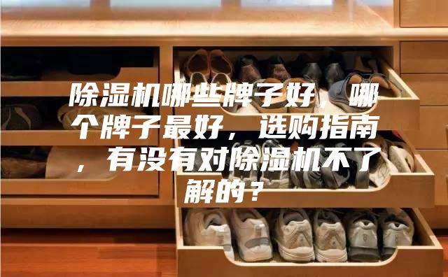 除濕機(jī)哪些牌子好，哪個(gè)牌子最好，選購(gòu)指南，有沒(méi)有對(duì)除濕機(jī)不了解的？