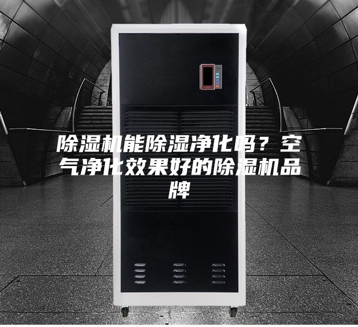 除濕機(jī)能除濕凈化嗎？空氣凈化效果好的除濕機(jī)品牌
