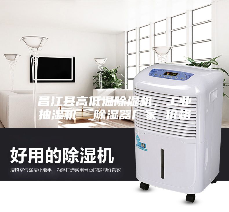 昌江縣高低溫除濕機(jī)，工業(yè)抽濕機(jī)  除濕器廠家 價(jià)格