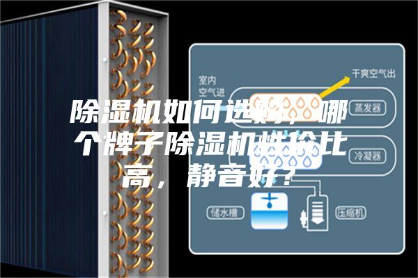 除濕機(jī)如何選購，哪個(gè)牌子除濕機(jī)性價(jià)比高，靜音好？
