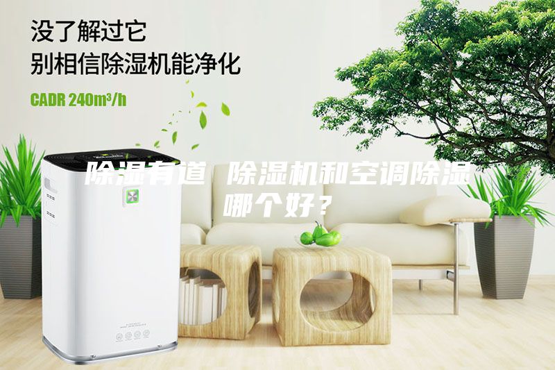 除濕有道 除濕機(jī)和空調(diào)除濕哪個(gè)好？