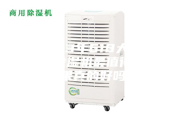 2023年618大促，哪款除濕機最值得買？效果真的好嗎？