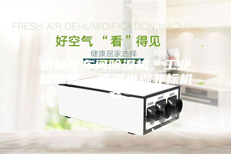 西城區(qū)車間除濕機，工業(yè)抽濕機  恒溫恒濕非標機器
