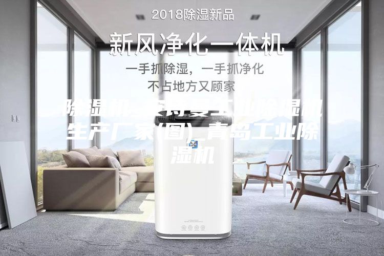 除濕機(jī)_安詩(shī)曼工業(yè)除濕機(jī)生產(chǎn)廠家(圖)_青島工業(yè)除濕機(jī)