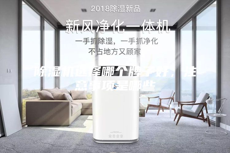 除濕機(jī)選擇哪個牌子好，注意事項(xiàng)是哪些