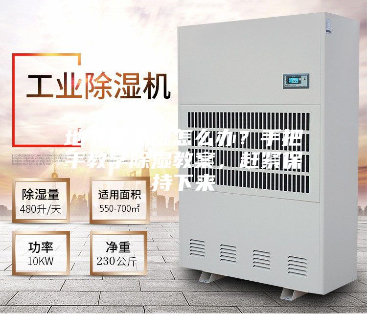 地下室潮濕怎么辦？手把手教學(xué)除濕教案，趕緊保持下來