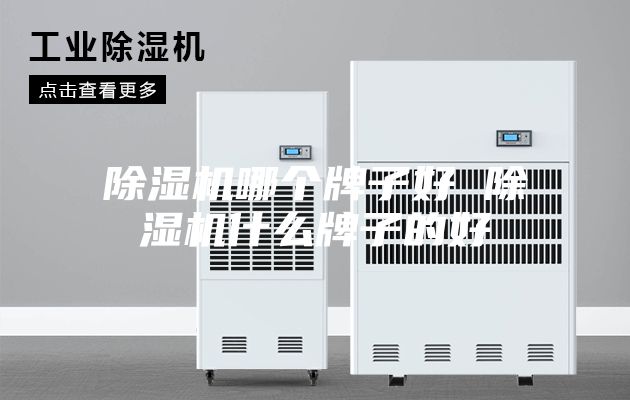 除濕機(jī)哪個牌子好 除濕機(jī)什么牌子的好