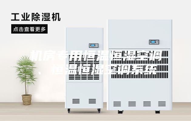 機房專用恒溫恒濕空調(diào)、恒溫恒濕空調(diào)系統(tǒng)