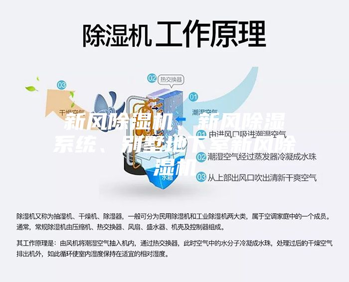 新風(fēng)除濕機(jī)、新風(fēng)除濕系統(tǒng)、別墅地下室新風(fēng)除濕機(jī)