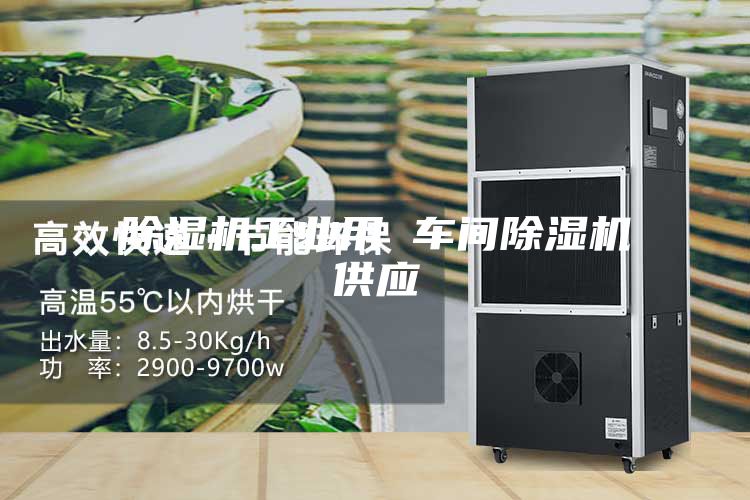 除濕機(jī)工業(yè)用 車(chē)間除濕機(jī)供應(yīng)