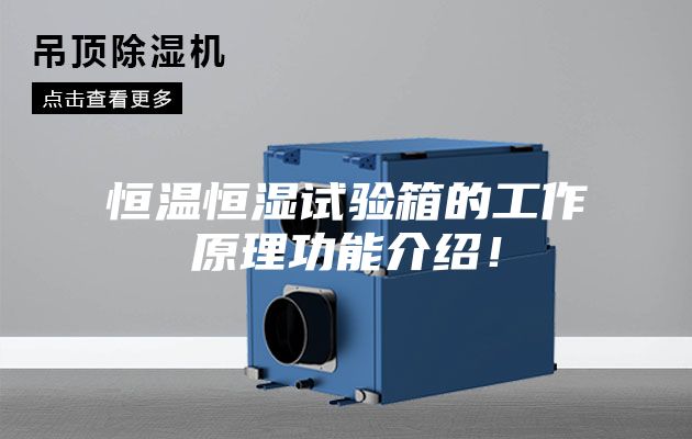 恒溫恒濕試驗箱的工作原理功能介紹！