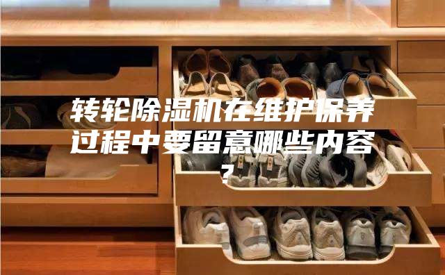 轉(zhuǎn)輪除濕機在維護保養(yǎng)過程中要留意哪些內(nèi)容？