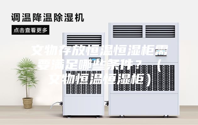 文物存放恒溫恒濕柜需要滿足哪些條件？（文物恒溫恒濕柜）