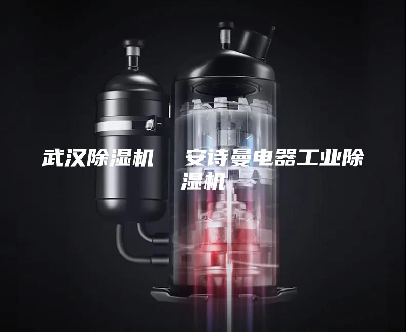 武漢除濕機(jī)  安詩(shī)曼電器工業(yè)除濕機(jī)