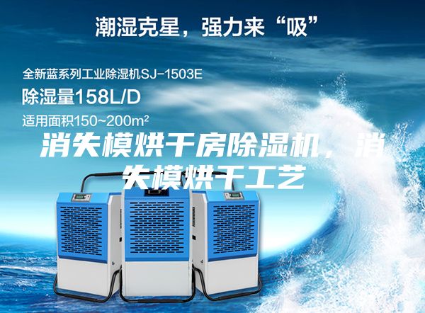 消失模烘干房除濕機(jī)，消失模烘干工藝