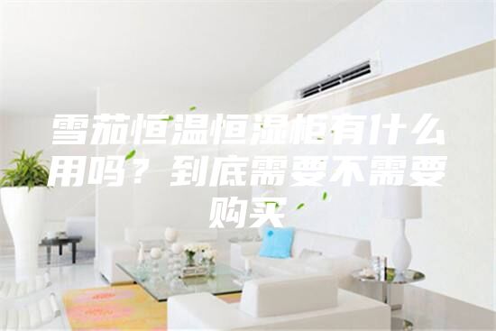 雪茄恒溫恒濕柜有什么用嗎？到底需要不需要購買