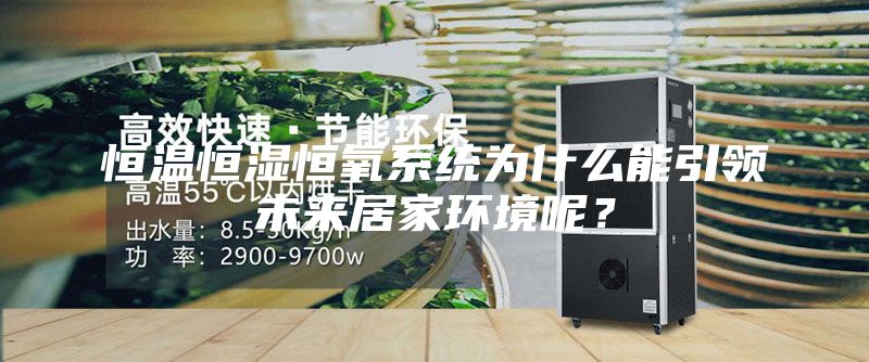 恒溫恒濕恒氧系統(tǒng)為什么能引領未來居家環(huán)境呢？