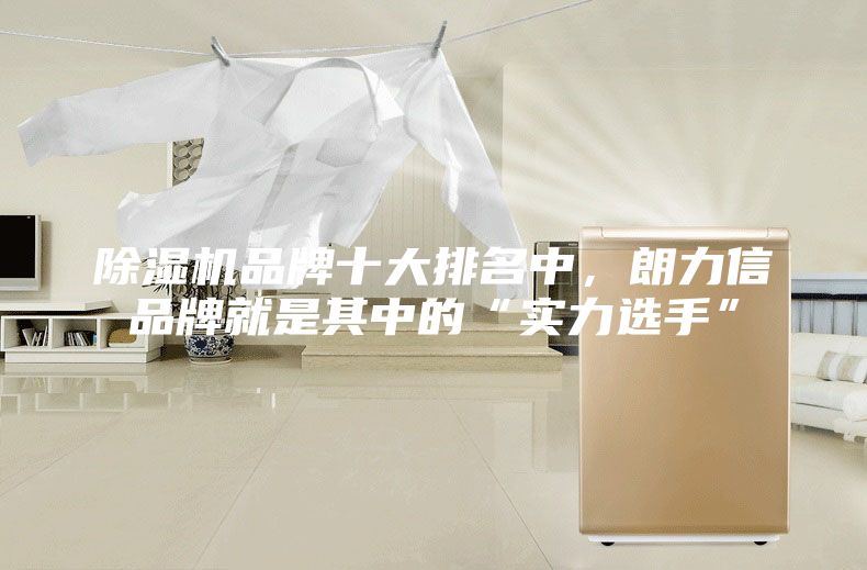 除濕機(jī)品牌十大排名中，朗力信品牌就是其中的“實(shí)力選手”