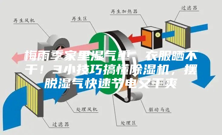 梅雨季家里濕氣重、衣服曬不干！3小技巧搞懂除濕機，擺脫濕氣快速節(jié)電又干爽
