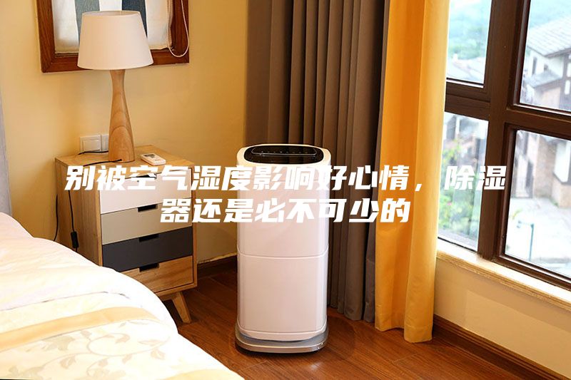 別被空氣濕度影響好心情，除濕器還是必不可少的