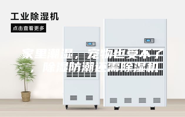 家里潮濕，寵物也受不了，除濕防潮還需除濕機(jī)