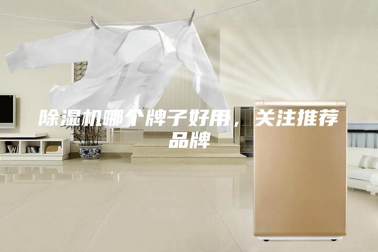除濕機哪個牌子好用，關(guān)注推薦品牌